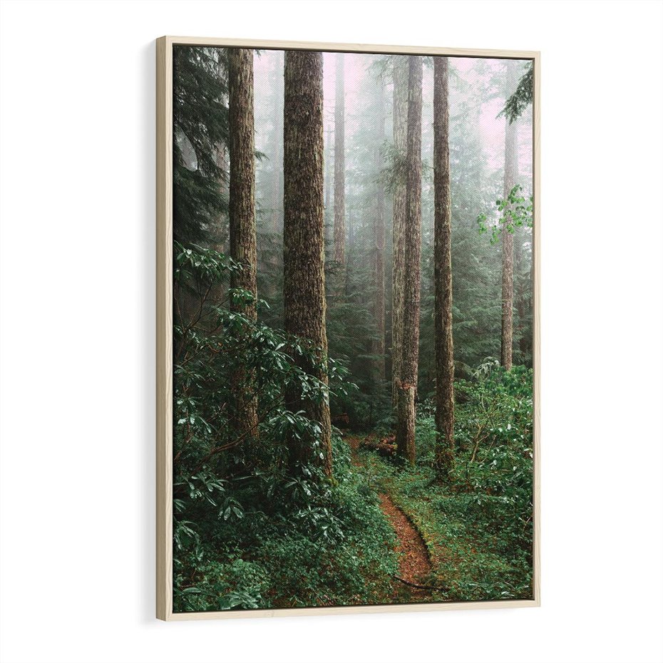 Obraz w ramie 80x120 - Mgliste Marzenia - artystyczna fotografia, las - rama drewno