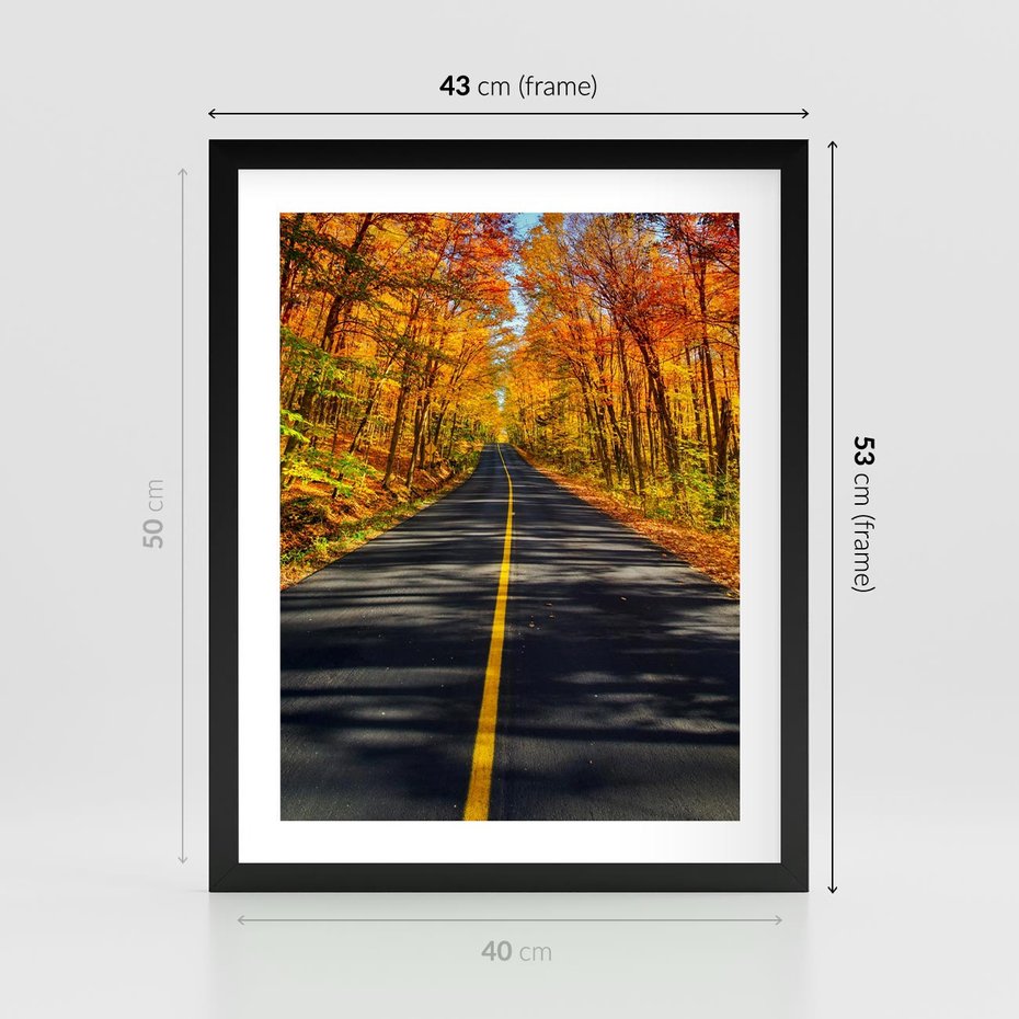 Plakat w ramie 40x50 - Droga przez jesienny las - droga, las - rama czarna