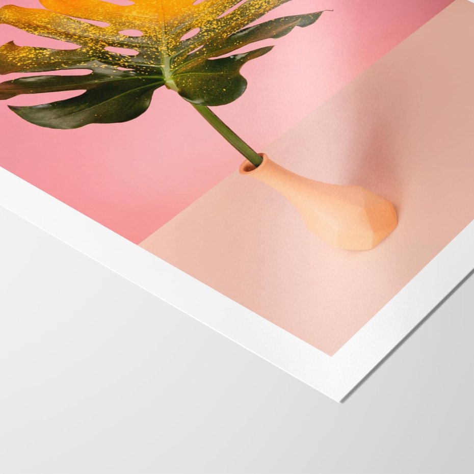 Plakat bez ramy 50x70 - Egzotyczna monstera - monstera, liść