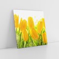 Obraz na płótnie 60x60 - Tulipany - szczyt kwiatowego piękna - tulipany, kwiaty