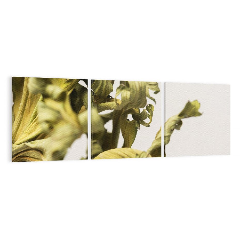 Obraz na płótnie 120x40 - Odejście pory deszczowej - suche, trawy