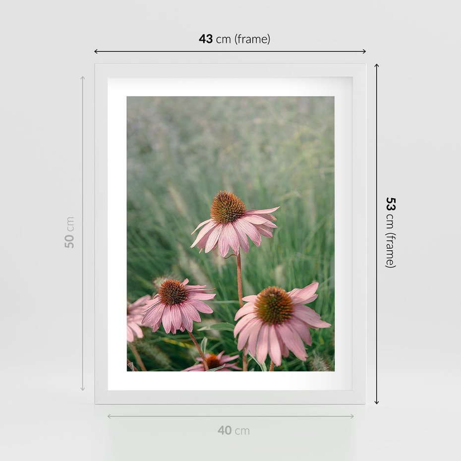 Plakat w ramie 40x50 - Natura w Pełnym Blasku - kwiaty na łące, różowe kwiaty polne - rama biała