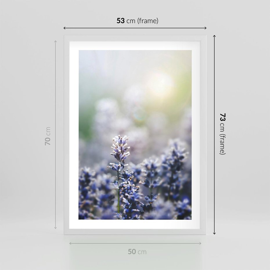 Plakat w ramie 50x70 - Delikatna Uroda Natury - wrzosy, fiolet - rama biała
