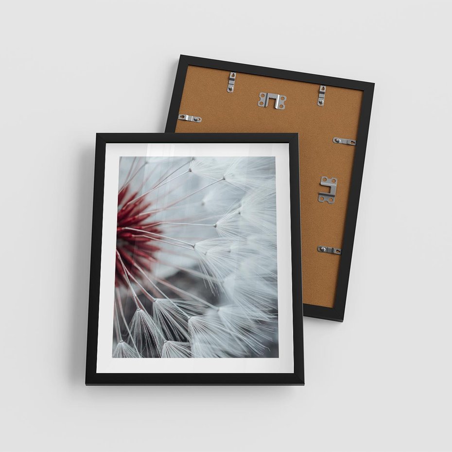 Plakat w ramie 40x50 - Makro świat dmuchawca - dmuchawiec, makro - rama czarna