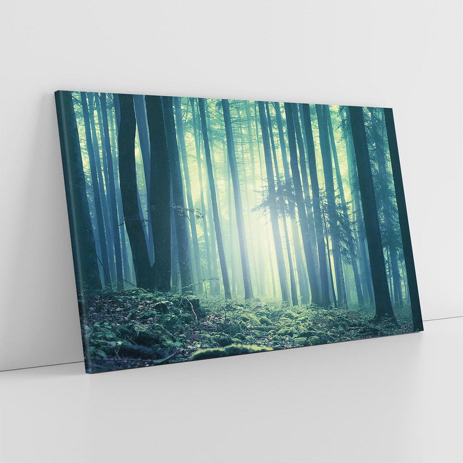 Obraz na płótnie 120x80 - Mistyczny las w mgle - las, mgła