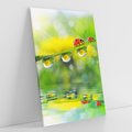 Obraz na płótnie 80x120 - Deszczowa Biedronka - biedronka, deszcz