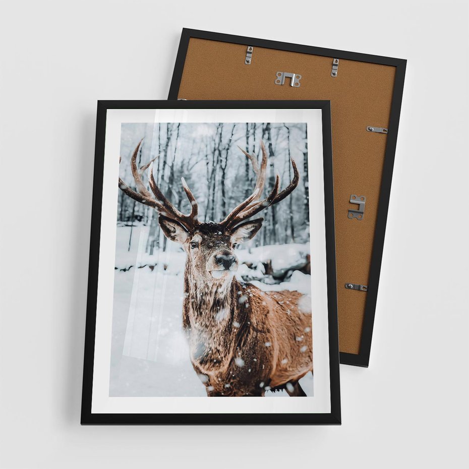 Plakat w ramie 50x70 - Jeleń na Zdjęciu pod Śniegiem - jeleń, zima - rama czarna