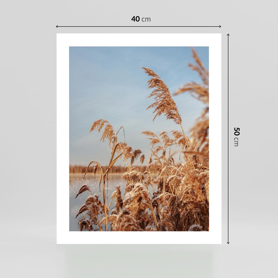 Plakat bez ramy 40x50 - Wyraz Stylu - trawy, boho