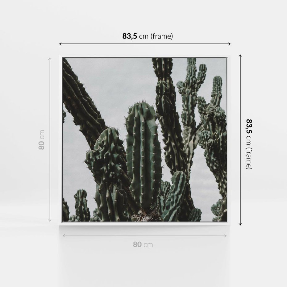 Obraz w ramie 80x80 - Boho oaza wśród kaktusów - kaktusy, pustynia - rama biała