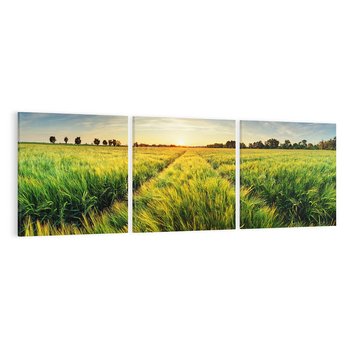 Obraz na płótnie 150x50 - Idylliczna łąka - łąka, natura