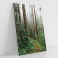 Obraz na płótnie 70x100 - Mgliste Marzenia - artystyczna fotografia, las