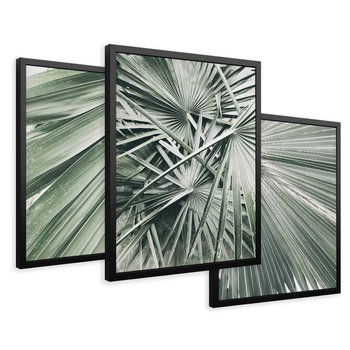 Zestaw obrazy w ramie 50x70 galeria - Palmy, liście, zielone - rama czarna