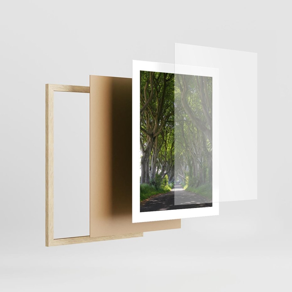 Plakat w ramie 30x40 - Magiczny Las - drzewa, las - rama drewno