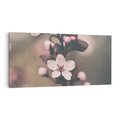 Obraz na płótnie 140x70 - Przemijający Urok - kwitnąca, wiśnia