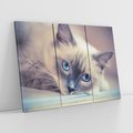 Obraz na płótnie 120x80 - Kotek w artystycznym stylu - kot, kotek