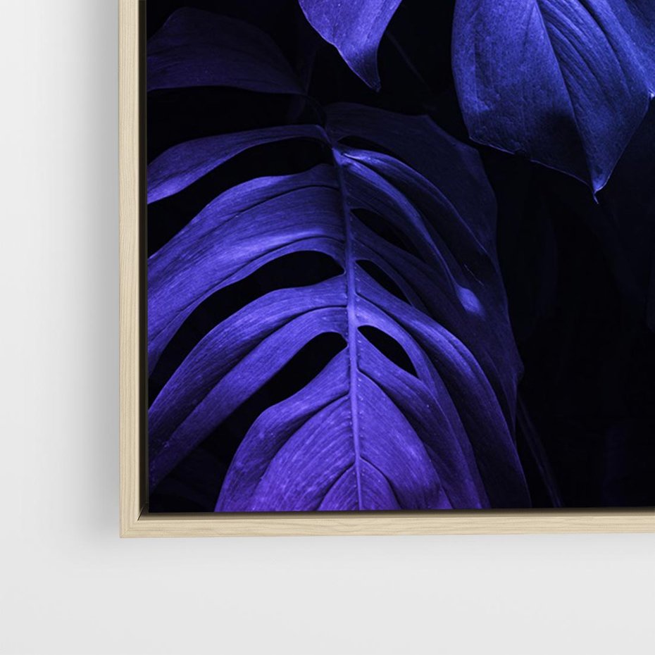 Obraz w ramie 100x70 - Mroczna Magia Dżungli - mroczna grafika, fioletowe liście monstery na czarnym tle - rama drewno