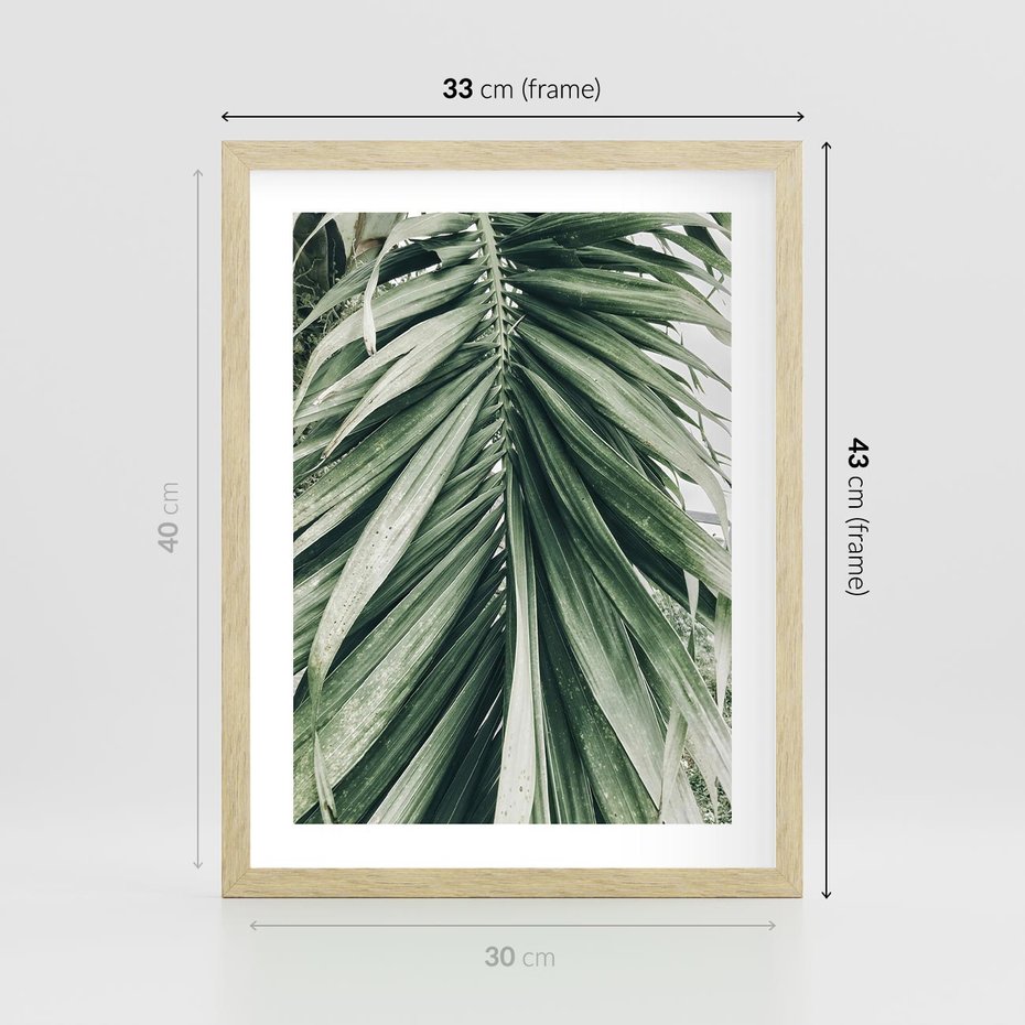 Plakat w ramie 30x40 - Spokojna Piękność Palmowych Liści - palma, liście palmy - rama drewno