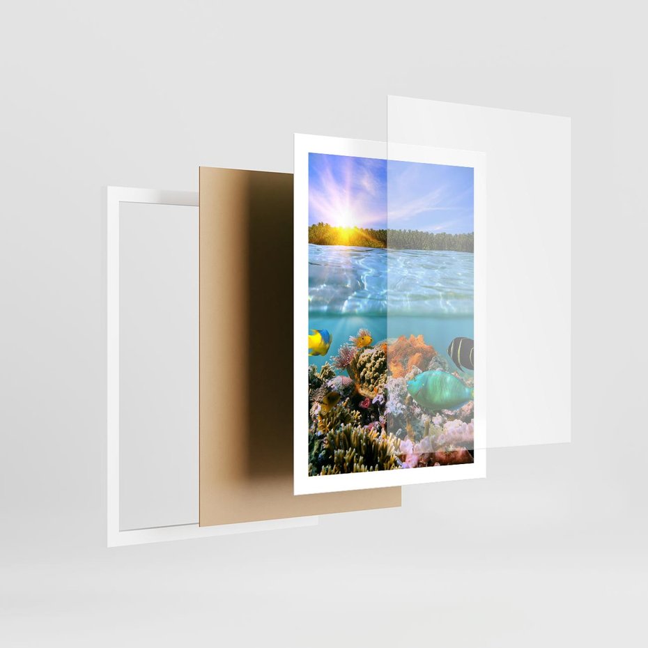 Plakat w ramie 50x70 - Rafa Koralowa - Podwodne Cuda - rafa, koralowa - rama biała