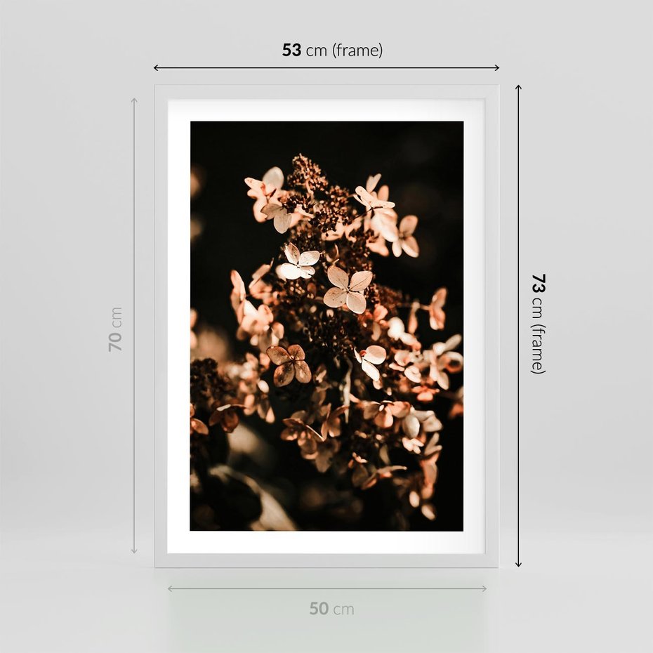 Plakat w ramie 50x70 - Hortensja - Suchy Kwiat w Sztuce - hortensja, suchy kwiat - rama biała