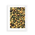Plakat w ramie 30x40 - Świeżość Cytrusów - cytryny, limonki - rama biała