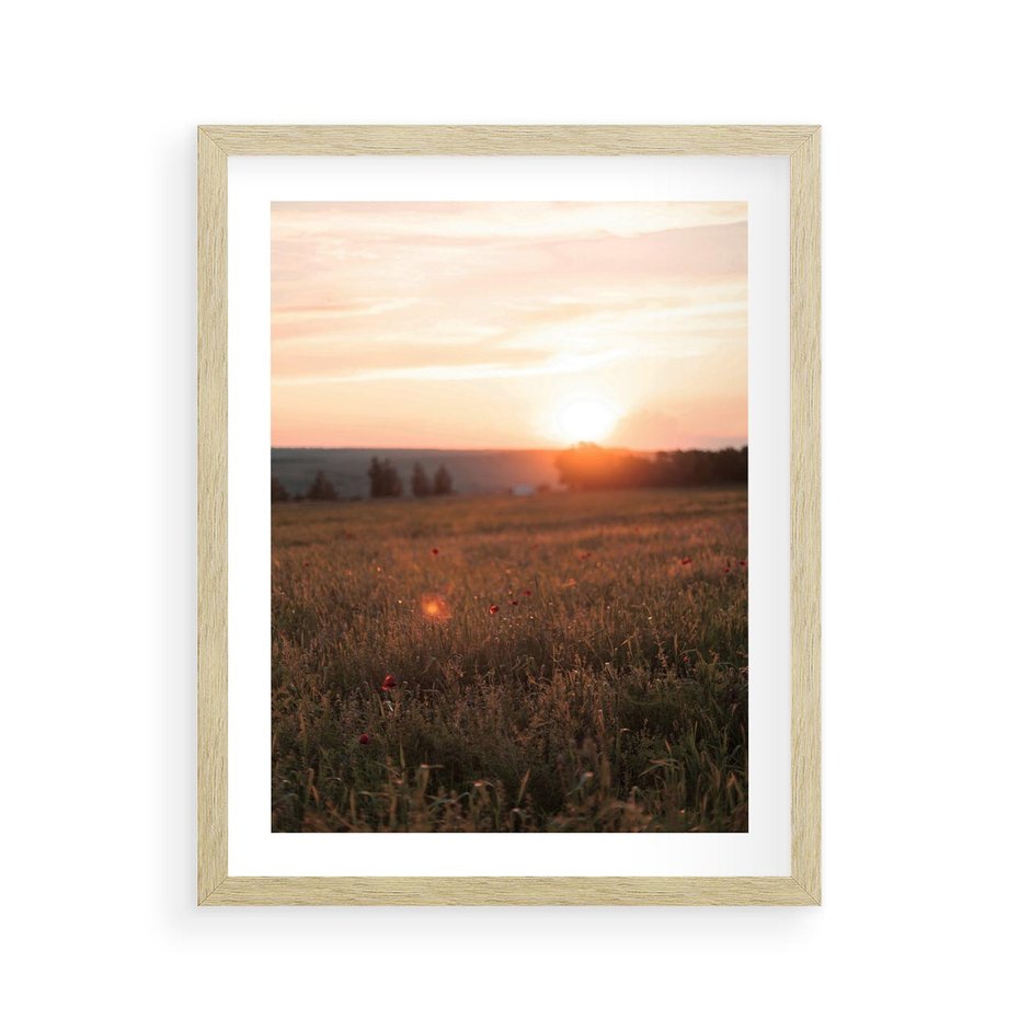 Plakat w ramie 40x50 - Łąka we Wschodzącym Słońcu: Magia Poranka - łąka, krajobraz - rama drewno
