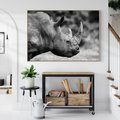 Obraz w ramie 70x50 - Potęga Afryki - czarno biała fotografia, zbliżenie na postać nosorożca - rama drewno