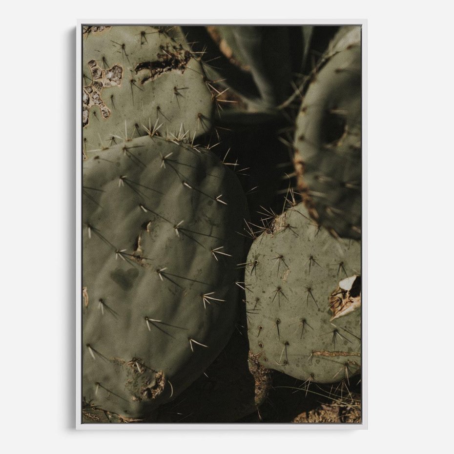 Obraz w ramie 70x100 - Urok Egzotyki - kaktusy, boho - rama biała