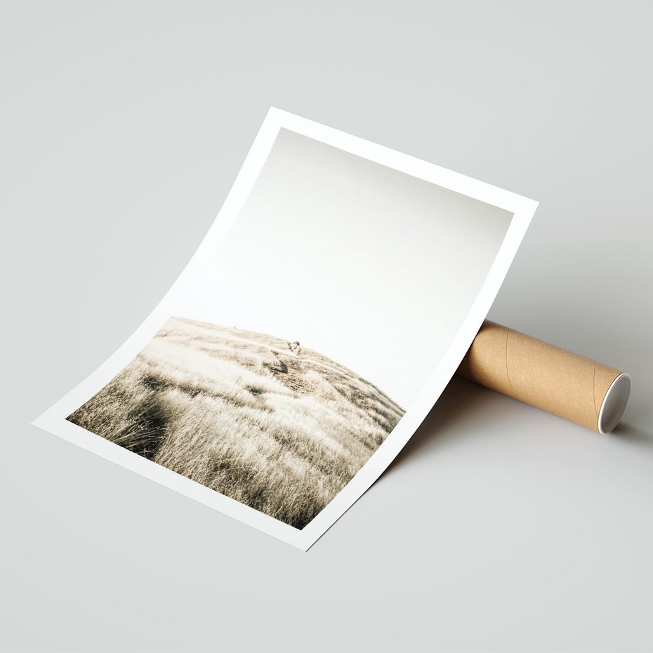 Plakat bez ramy 50x70 - Wzgórze w Odcieniach Sepii - wzgórze, trawy