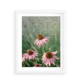 Plakat w ramie 40x50 - Natura w Pełnym Blasku - kwiaty na łące, różowe kwiaty polne - rama biała