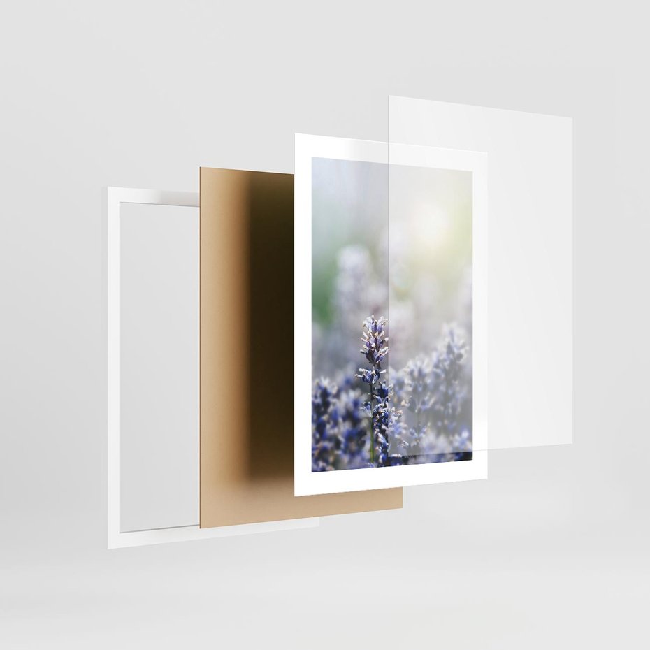 Plakat w ramie 30x40 - Delikatna Uroda Natury - wrzosy, fiolet - rama biała