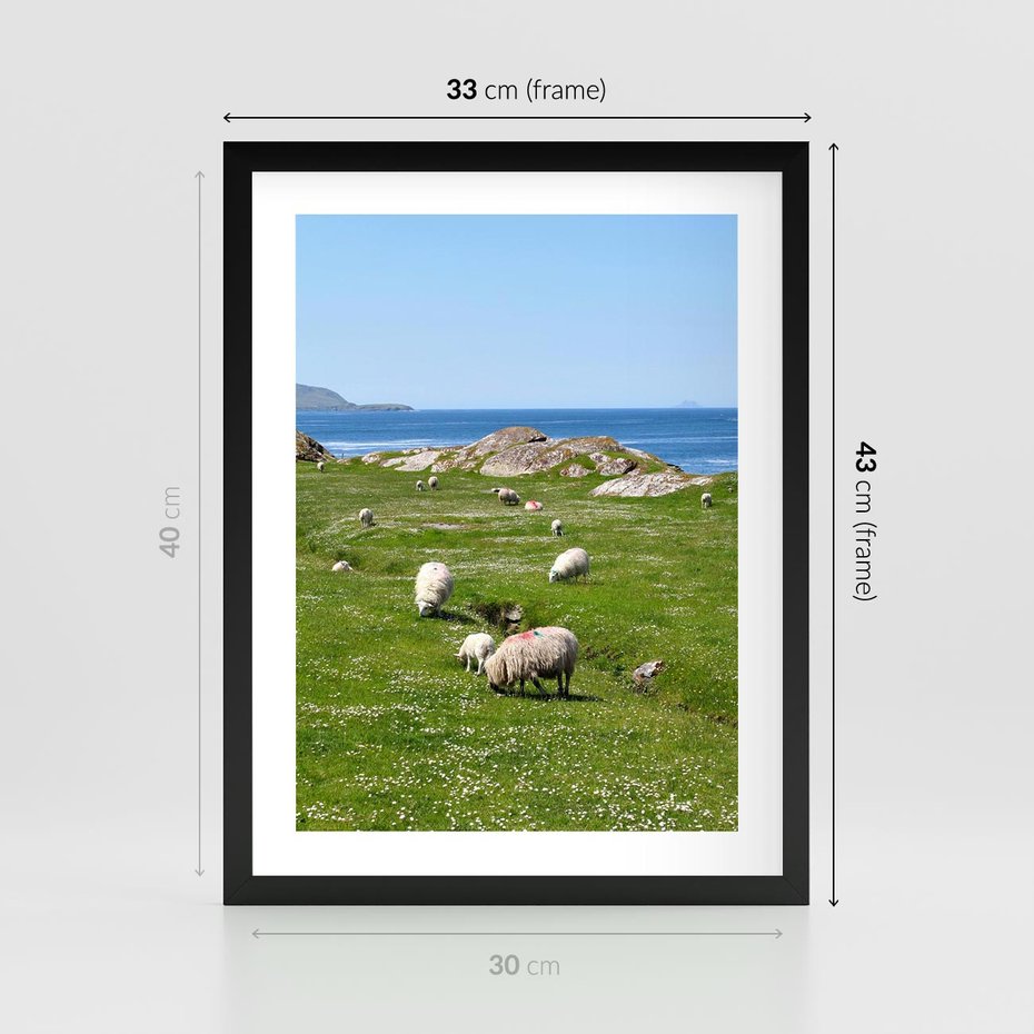 Plakat w ramie 30x40 - Górskie Owce - góry, owce - rama czarna