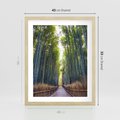 Plakat w ramie 40x50 - Urokliwa dróżka w lesie - las, dróżka - rama drewno