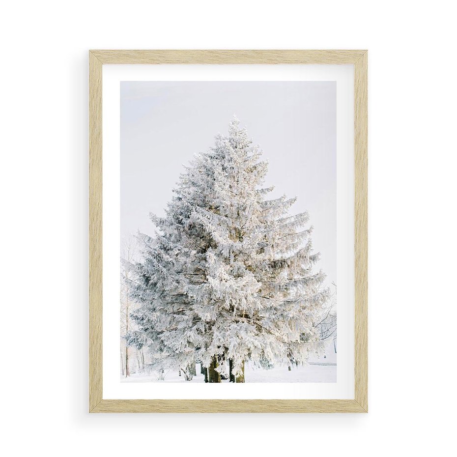 Plakat w ramie 50x70 - Zimowa Poezja w Ośnieżonym Drzewie - ośnieżone drzewo, zima - rama drewno