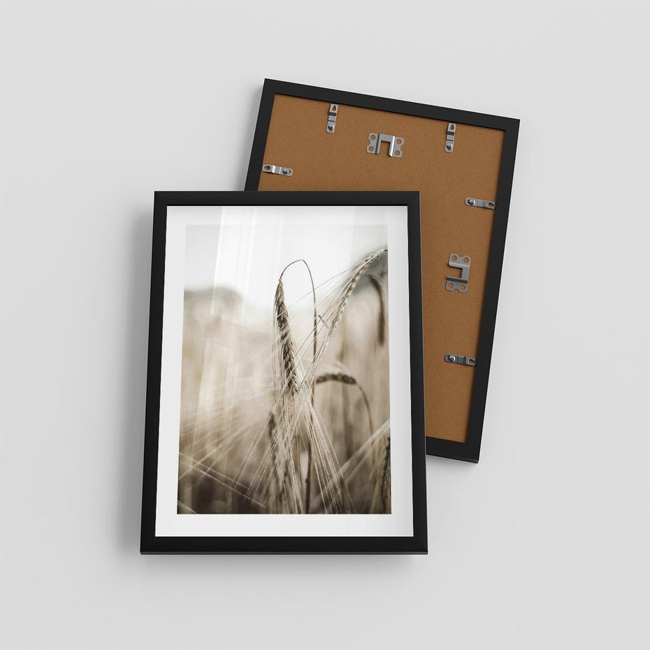 Plakat w ramie 30x40 - Kłosy Pszenicy w Sepii - zboże, kłos pszenicy - rama czarna