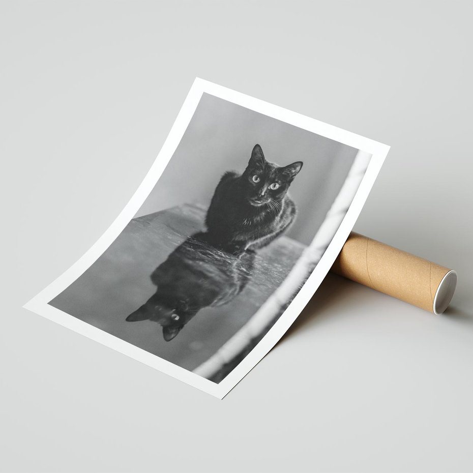 Plakat bez ramy 21x30 - Kocie Oczy - kot, czarno białe zdjęcie