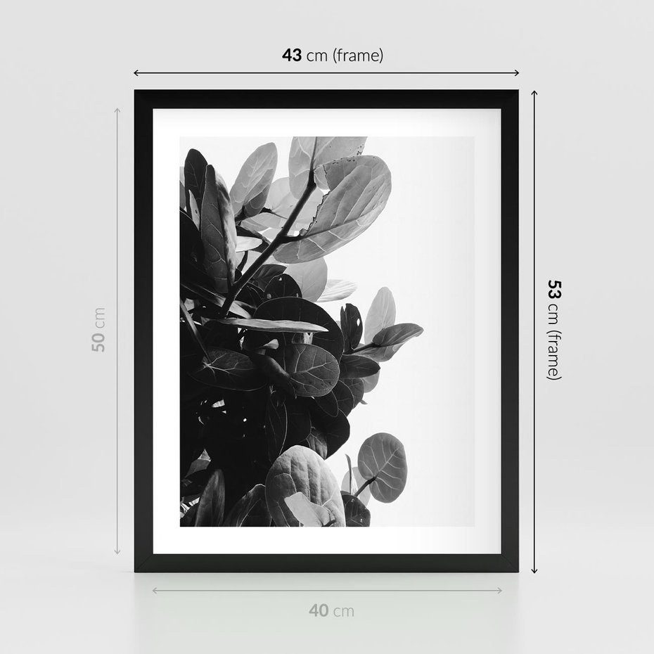 Plakat w ramie 40x50 - Blisko Natury - liście, rośliny tropikalne - rama czarna