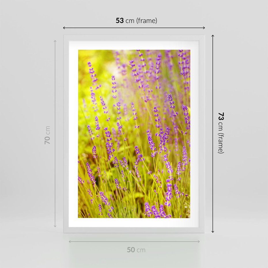 Plakat w ramie 50x70 - Delikatność natury - lawenda, kwiaty - rama biała