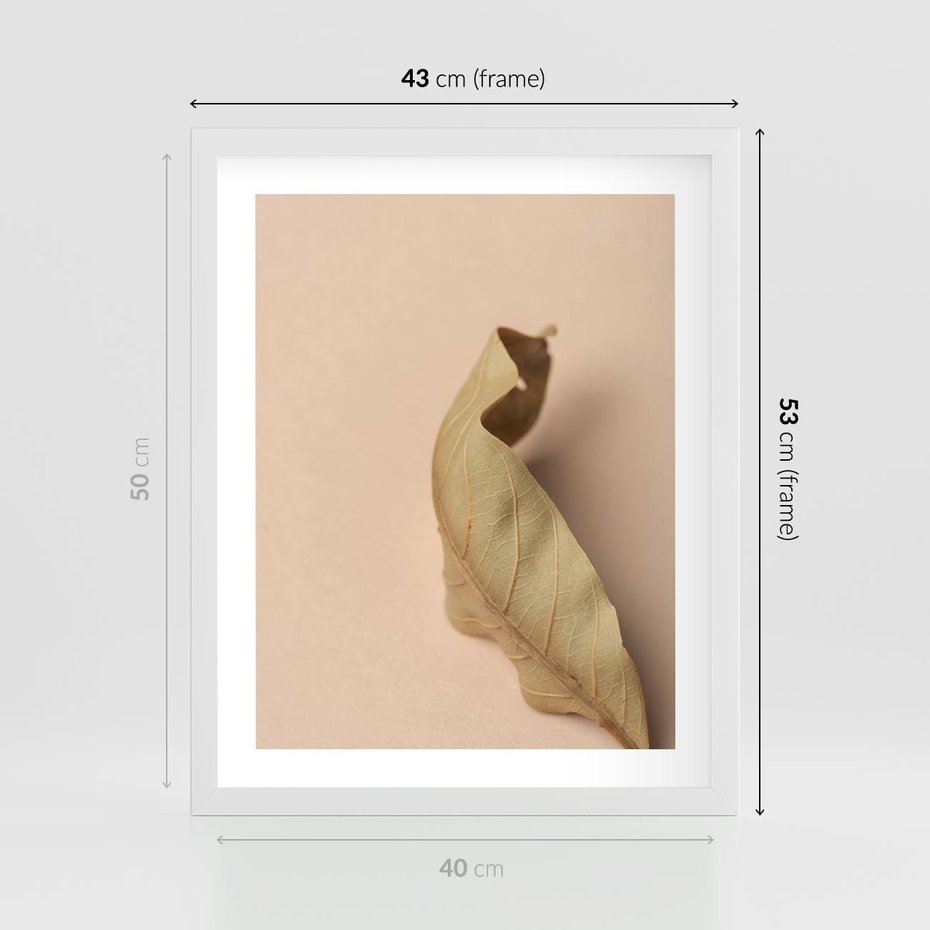 Plakat w ramie 40x50 - Boho suszone liście - suszony, liść - rama biała
