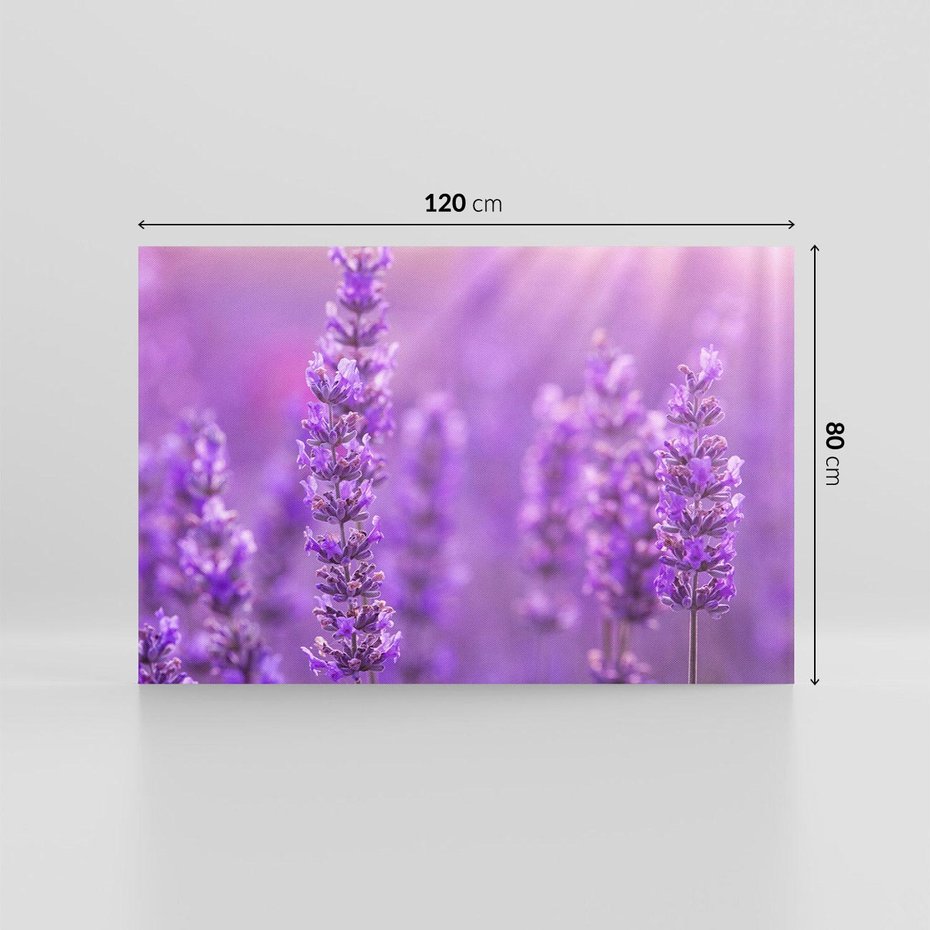Obraz na płótnie 120x80 - Fioletowa harmonia lawendy - lawenda, fiolet