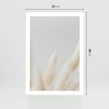 Plakat bez ramy 21x30 - Biały Spokój - białe trawy, suche trawy pampas