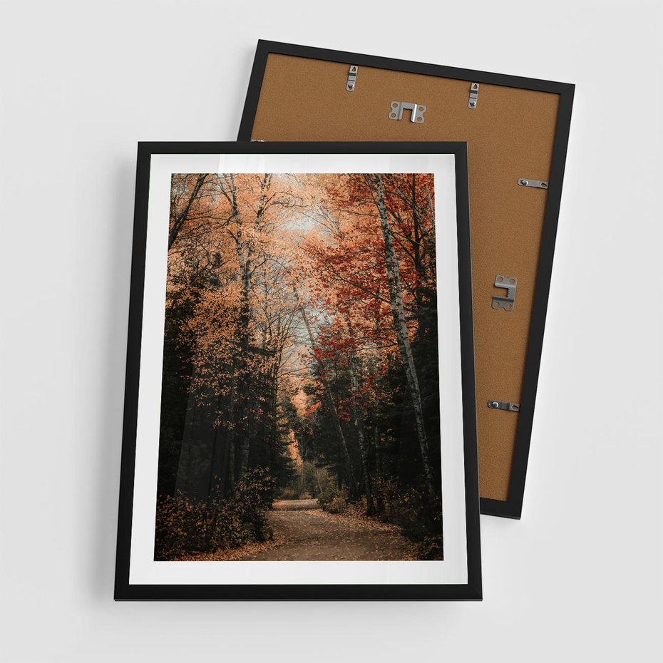 Plakat w ramie 50x70 - Drzewa w Czerwonych Liściach - las, jesienny las - rama czarna