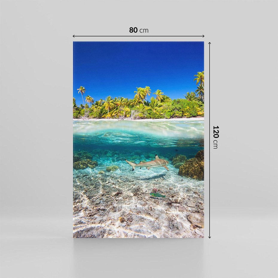 Obraz na płótnie 80x120 - Tropikalne Morze i Kolorowa Rafa - tropikalne, morze