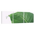 Obraz na płótnie 150x50 - Zielone liście monstery - liście, monstera