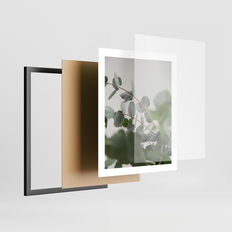 Plakat w ramie 40x50 - Liście eukaliptusa w naturze - eukaliptus, liście - rama czarna