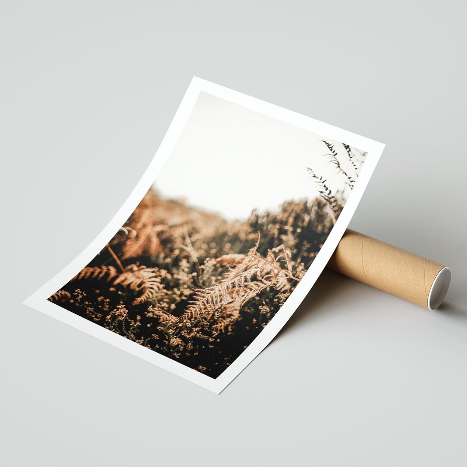 Plakat bez ramy 50x70 - Jesienna Harmonia - suche paprocie, jesienny krajobraz