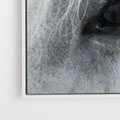 Obraz w ramie 70x50 - Oko Mocy - czarno białe zdjęcie, zbliżenie makro na oko konia - rama biała