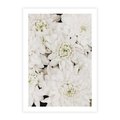 Plakat bez ramy 50x70 - Białe Kwiaty: Płatki Delikatności - białe kwiaty, zbliżenie