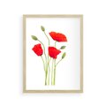 Plakat w ramie 30x40 - Pola maków w pełnym kolorze - maki, kwiaty - rama drewno