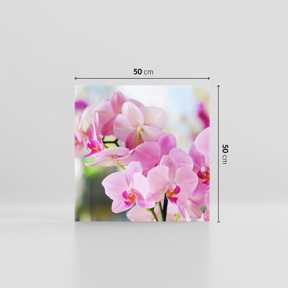 Obraz na płótnie 50x50 - Elegancja orchidei - orchidea, kwiaty