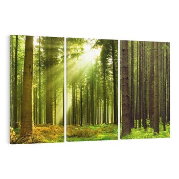 Obraz na płótnie 120x80 - Spokój wśród drzew: las w odcieniach zieleni - las, drzewa